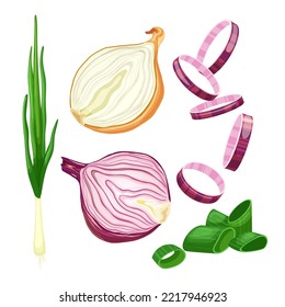 onion white red set cartoon. fresh food, half purple, cut raw, slice vegetable, organic ingredient, cooking ring, bulb onion white red vector illustration