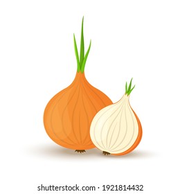Onion. Whole onion and cut onion. Flat simple design. Vector illustration of organic farm fresh vegetables. Isolated on white background.