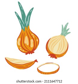 Onion. Whole onion and cut onion, rings and slices. Fresh vegetables from the farmer market. Vector cartoon illustration isolated on the white background. 