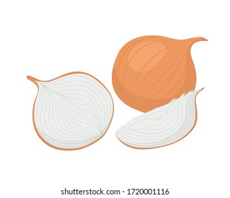 Onion whole, half and slice. Vector set in flat style. Fresh vegetable isolated on white background. Illustration for magazine, book, poster, card, menu, web design.