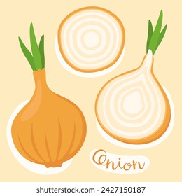 Cebolla. Bulbos de cebolla entera y en rodajas. Cebolla dorada, cebolla amarilla. Verduras frescas. Ingrediente para cocinar. Ilustración vectorial.