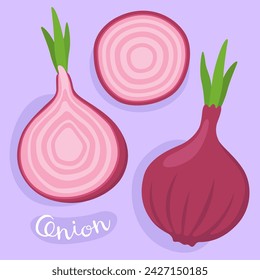 Onion. Whole and sliced onion bulbs. Purple onion, red onion. Fresh vegetable. Ingredient for cooking. Vector illustration.