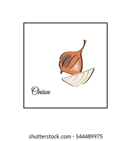 Onion whole and sliced vector illustration on a white background.