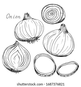 Featured image of post Simple Way to Black Onion Clipart