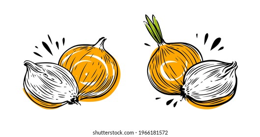 Onion whole and sliced. Vegetables symbol vector illustration