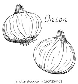 Onion. Whole Vegetable. Ink Botanical Vintage Illustration. Isolated Clipart Set On White Background.