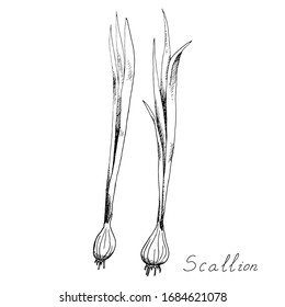 Poche de Lit Molletonnée