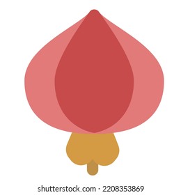 Onion, widely used as flavoring ingredient.