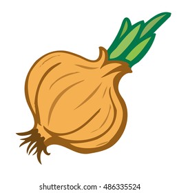 Onion.Isolated object. Vector Image.