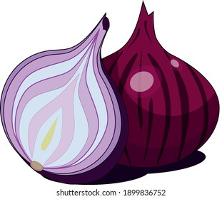 Onionon white background. Vector illustration.Onion flat icon on white transparent background. 