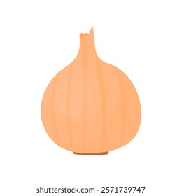 Onions in cartoon style on a white isolated background. Ingredients for cooking. Beautiful minimalistic vegetables.