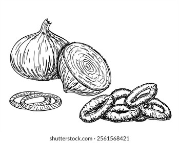 Onions and Fried onion rings. Hand drawn sketch style roasted onion rings. Street fast food vector illustrations collection. Isolated on white background. 