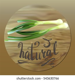 onions, green, vector isolated, icon