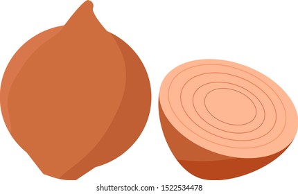 Onions, illustration, vector on white background.