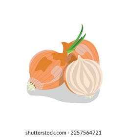 Onions isolated on white background. Sliced ​​onion