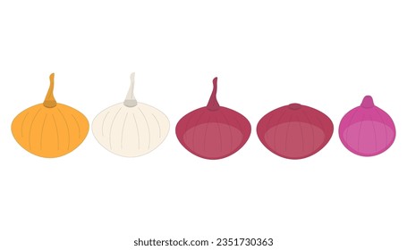 cebollas aisladas sobre fondo blanco