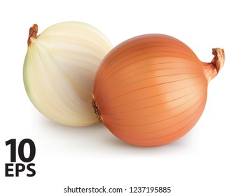 Onions isolated. Realistic vector 3d illustration
