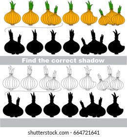 Onions set to find the correct shadow, the matching educational kid game to compare and connect objects and their true shadows, simple gaming level for preschool kids.
