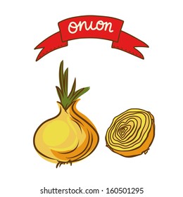 Onions sketch set - vector