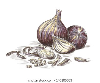 Onions with slices. Hand drawn still life.