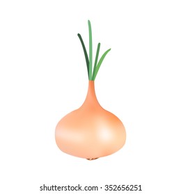 onions, vector graphics