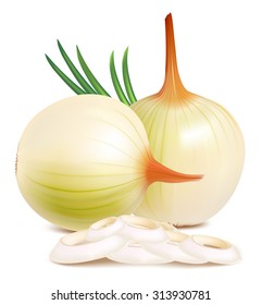 Onions. Vector illustration