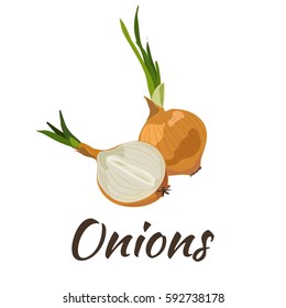 Onions. Vector illustration. Ripe vegetable for Your ideas.