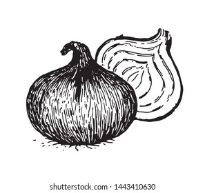 Similar Images, Stock Photos & Vectors of Onion, resting on a plane