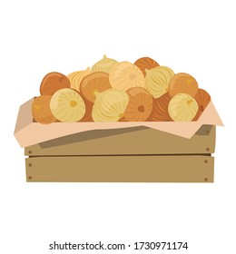 Onions in a wooden box. Vector illustration. Isolated on a white background.