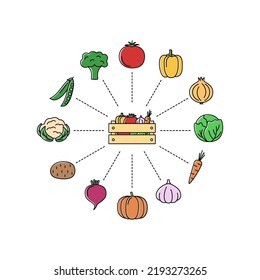 Online store with vegetables. Shopping concept, vector illustration