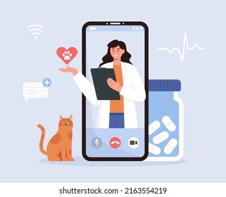 Online veterinarian consultation. Veterinary doctor appointment. Modern healthcare technologies, mobile application. Animal hospital. The cat sits on an ambulance suitcase and looks at female doctor