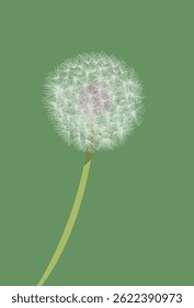 Only one dandelion on green background