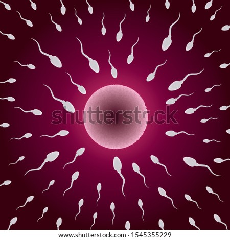 Oocyte fertilization, pregnancy, conception concept.