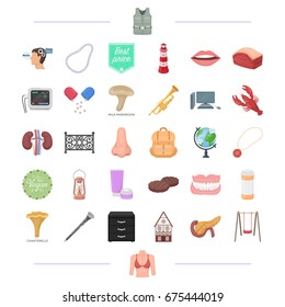 ood, man, instrument and other web icon in cartoon style.equipment, advertising, organs icons in set collection.