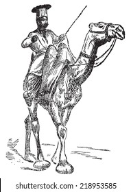 The oont-wallah (the camel), vintage engraved illustration. Journal des Voyages, Travel Journal, (1879-80).