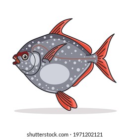 Opah Fish design Illustration vector art