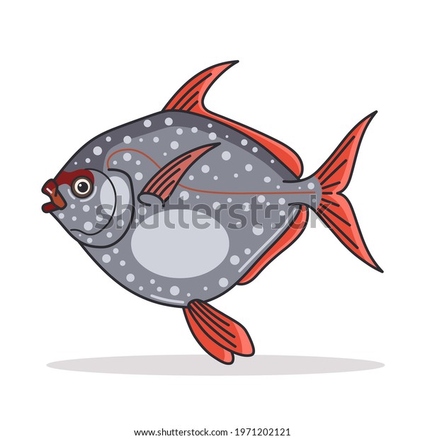 Opah Fish design\
Illustration vector art
