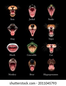 Open animal mouth realistic set with lion dog shark monkery bear fox tiger cat snake and others isolated on black background vector illustration