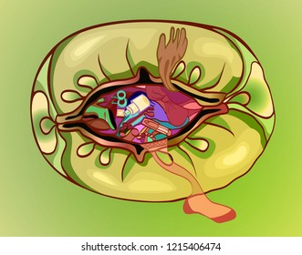 Open bag with women's things. In yellow and green. Fashion