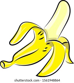 Open banana, illustration, vector on white background.