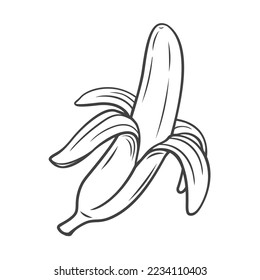 Öffnen Sie Bananenzeilen-Symbol, Vektorgrafik. Handgezeichnete Umrisse frischer tropischer Früchte mit Schale, einreife Banane mit Haut, die als süße Snack zu essen ist, natürliche Vitamin-Dessert und leckere vegetarische Lebensmittel