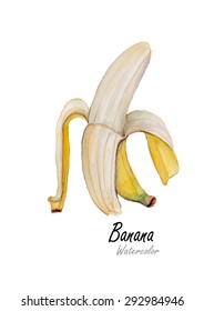 Open banana.Hand drawn watercolor painting on white background.Vector illustration