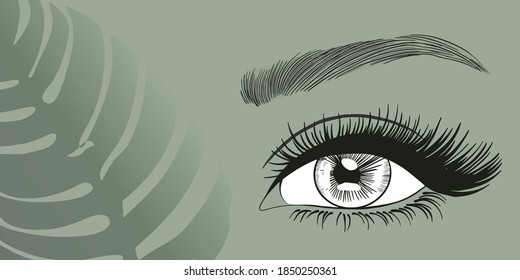 open beautiful eye with long eyelashes for business cards, flyers, advertisements, beauty masters, eyelash extensions