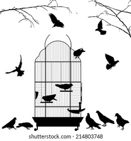 Open bird cage and birds silhouettes over white background