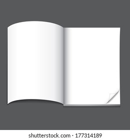 open blank magazine page, ready for your design