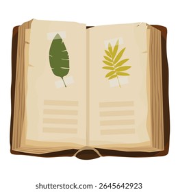 Livro aberto com flores e folhas secas, herbário. Outono acolhedor. Para educação, botânica, biologia, aprendizagem, escola e ciências naturais. Ilustração vetorial