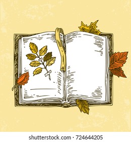 Open book with herbarium and fallen leaves. Vintage style. Vector illustration.