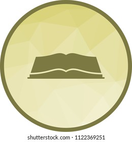 Open Book Icon