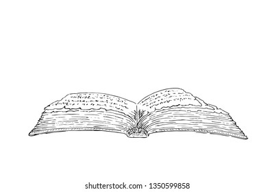 Open book isolated on white background. Vector black vintage engraving illustration. Hand draw ink sketch in a graphic style