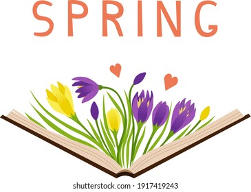 An open book with yellow and purple crocuses and text. Vector illustration spring coming concept. Composition with the first spring flowers for a postcard, banner, poster or for textile